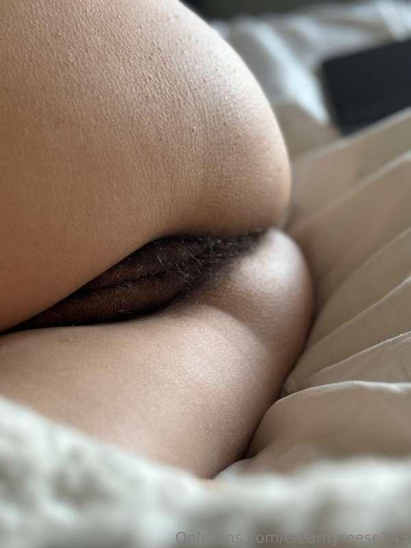 Would you like some bush?