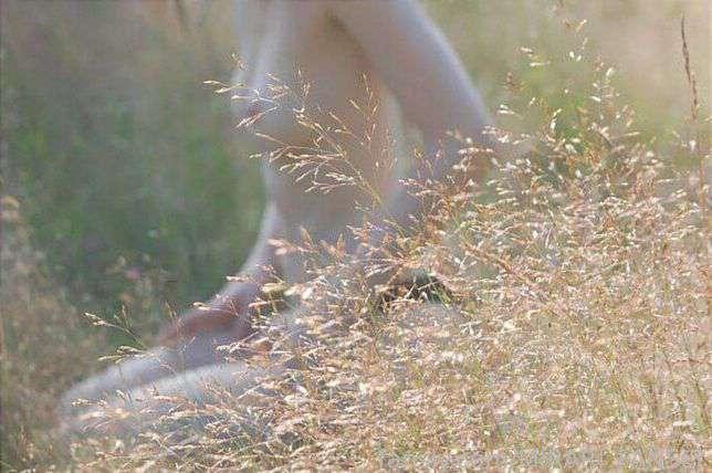 Gathering the morning dew