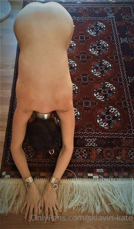 What a beautiful day. My master praised me for wiping the fl..