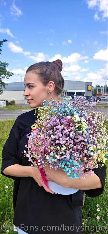 Hypsophila, also known as wahters or scabiosa, are flowering..