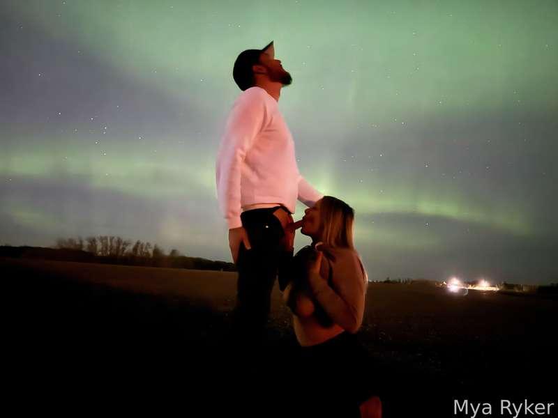myaryker image #1