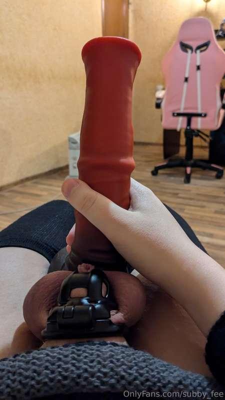 subby_fee image #6
