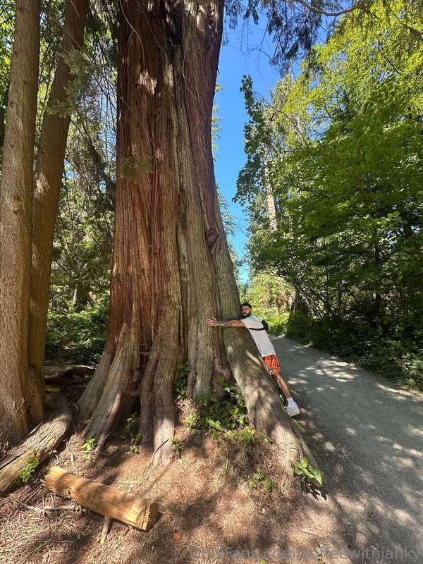 spent the weekend in Vancouver! was so lovely :)