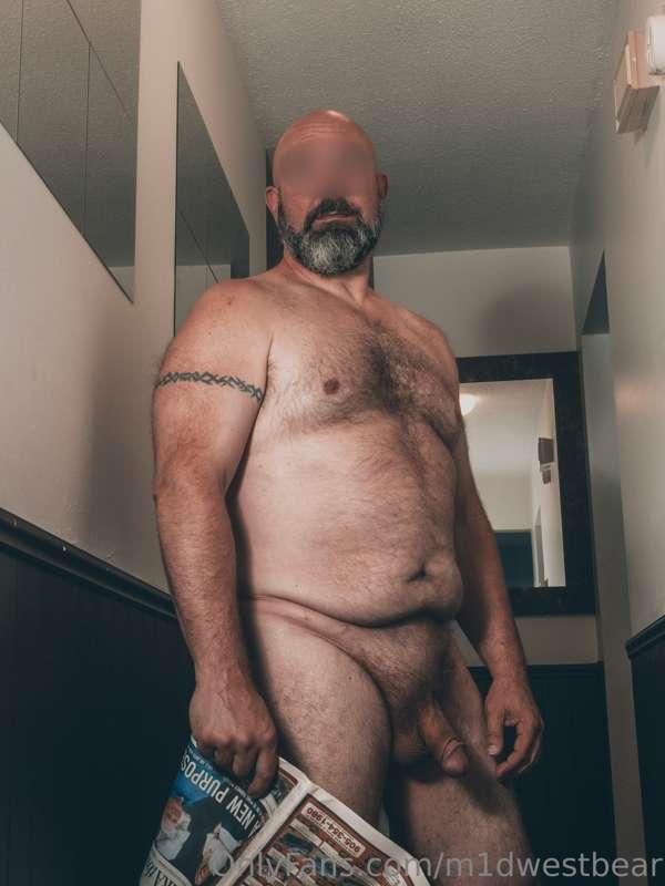 m1dwestbear image #1