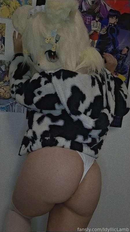 idylliclamb image #3