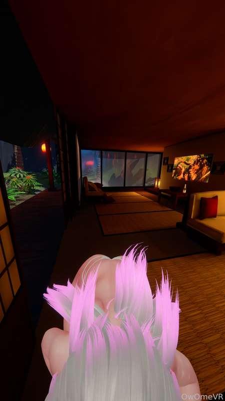 owomevr image #4