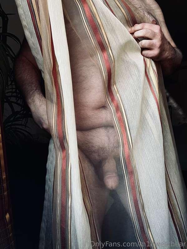 m1dwestbear image #0