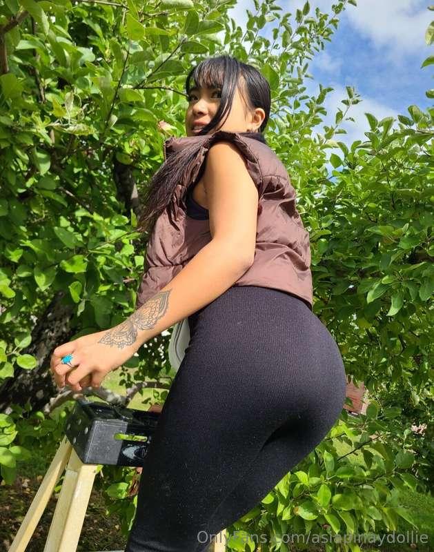 come pick some apples with me? 🤤🍏🍎