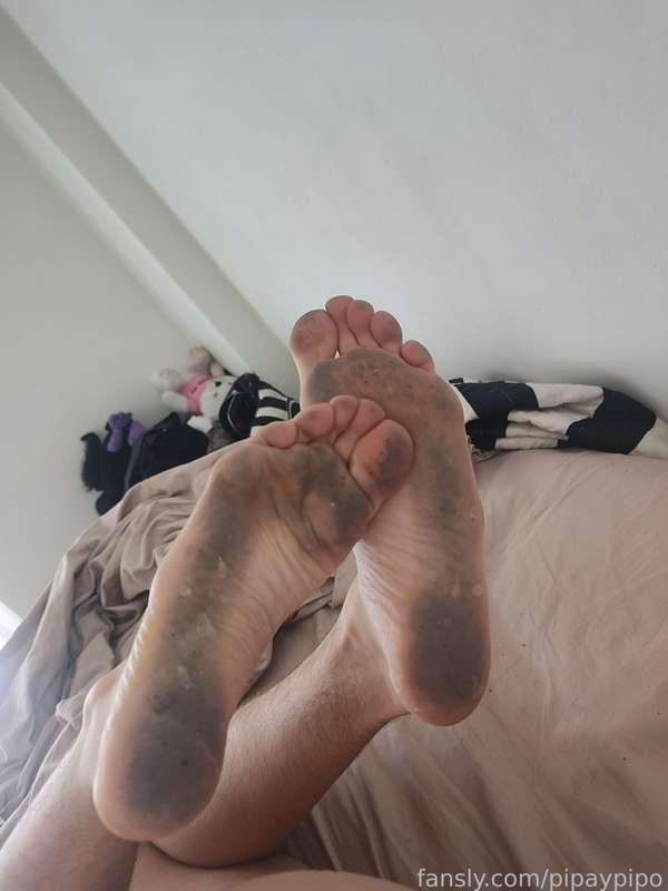 pipaypipo image #4