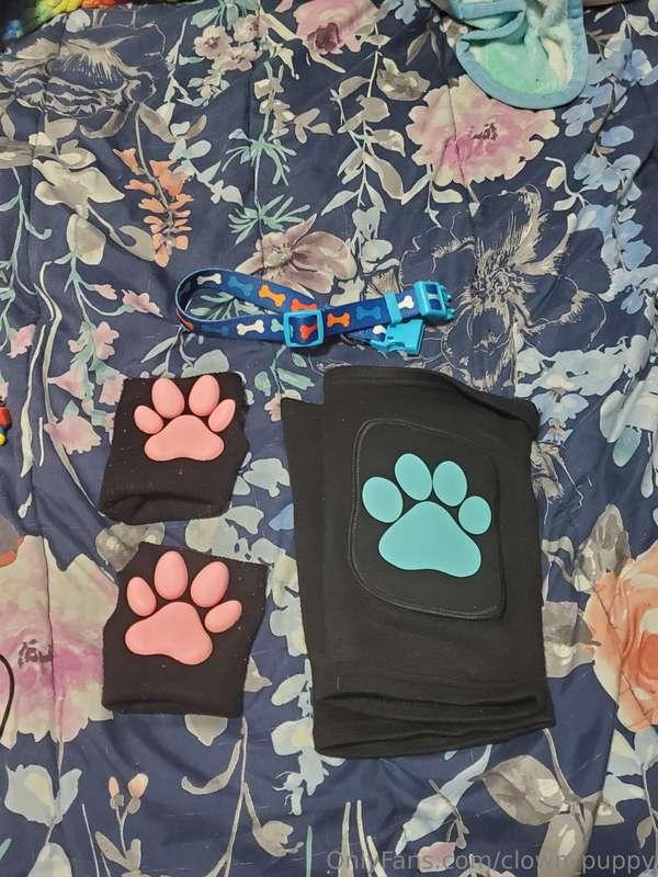 😏 My puppy knee pads came in so expect some new puppy conten..