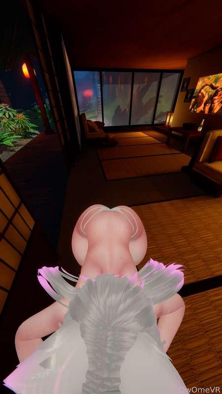 owomevr image #5