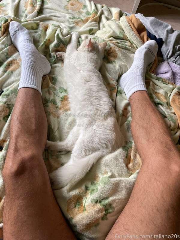 🇮🇹 A lui non frega niente, si addormenta dove gli pare 😂 🥰 •..