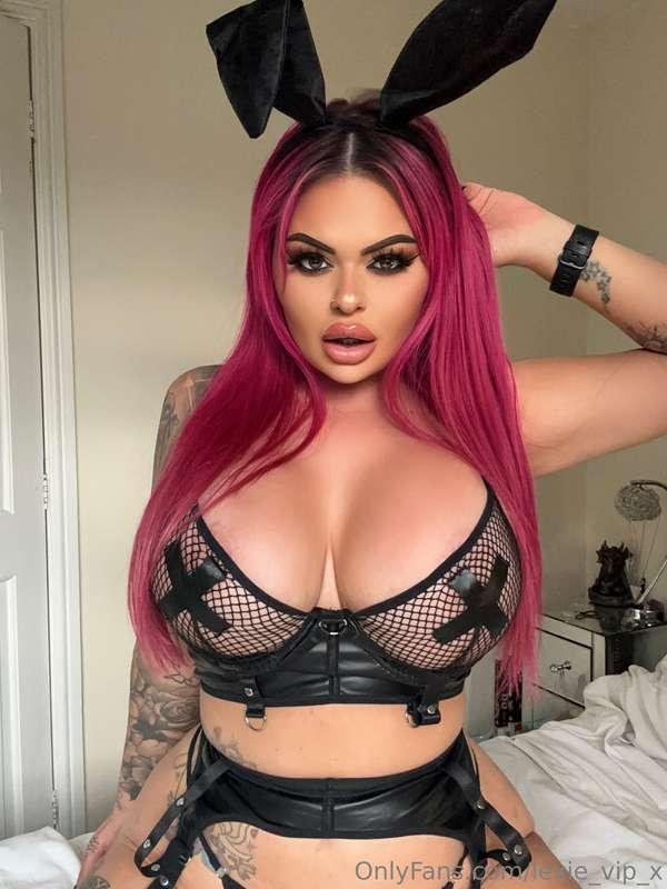 Bad bunny 🖤