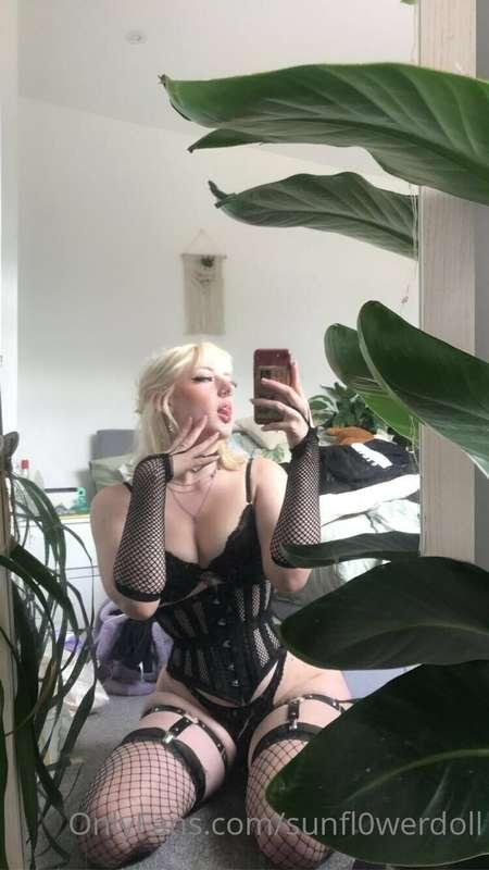 sunfl0werdoll image #2