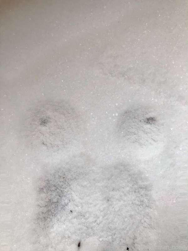 Are there boobs in the snow??! 😳😳😳🤭
Sind da boobies im Schne..