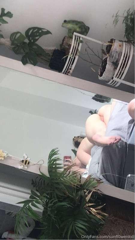sunfl0werdoll image #2