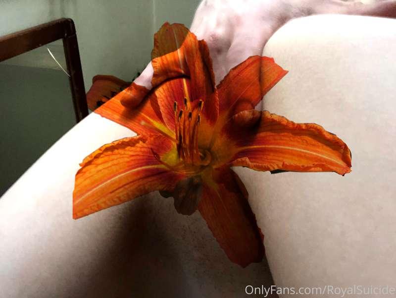 🌺💦 fingers in her pussy 💦🌺