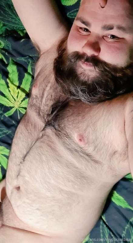 Bear 🐻