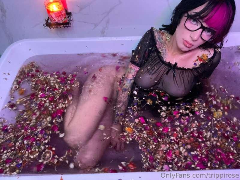 trippirose image #21
