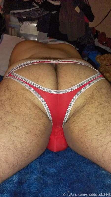 chubbycub8448 image #3