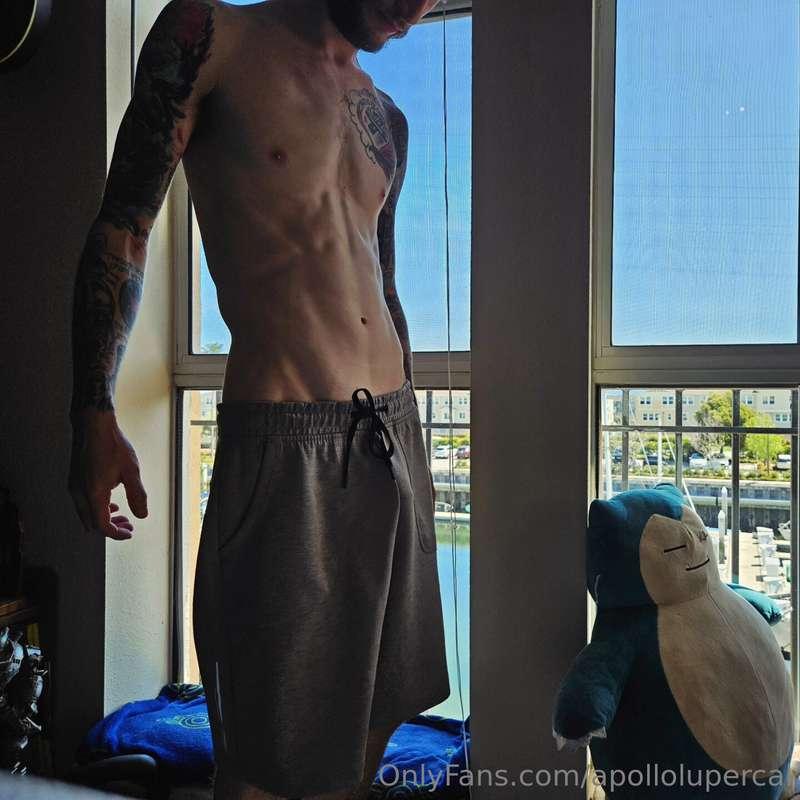 apollolupercal image #10