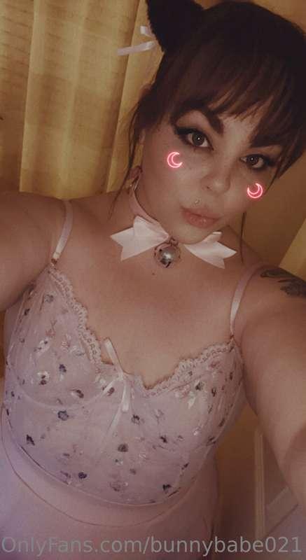 Kitten wants to play, new content to be released soon 😘