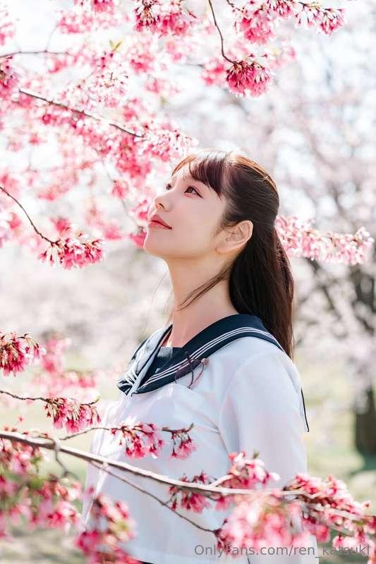 Can I be your favorite japanese girl? 🌸