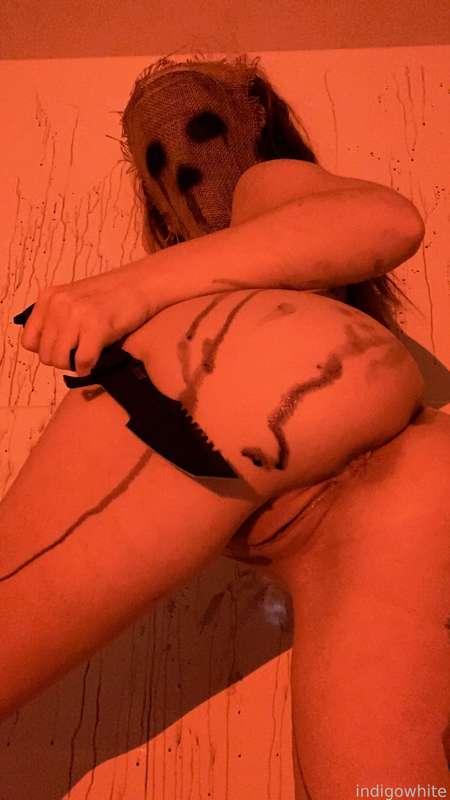 indigowhite image #14