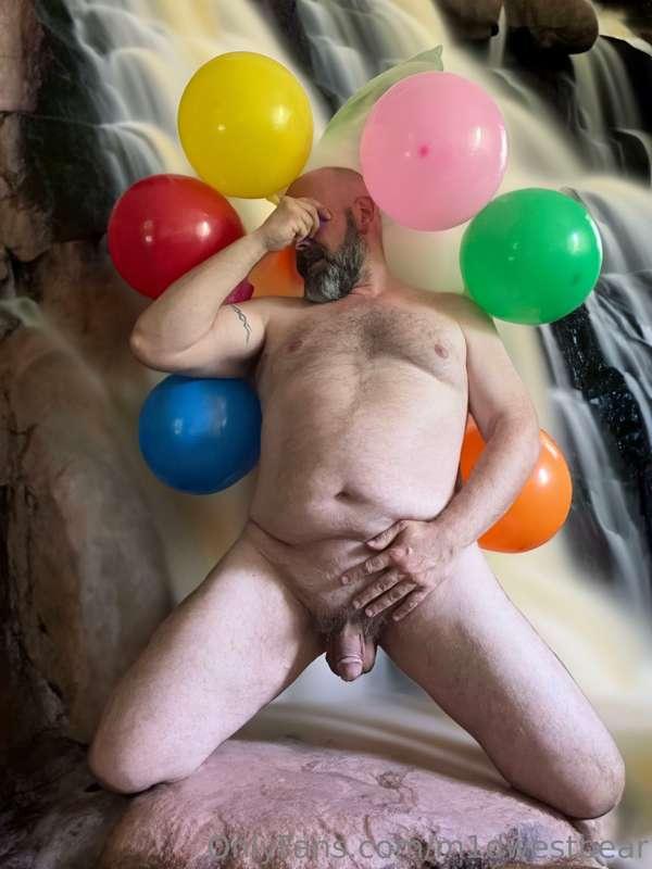 m1dwestbear image #4