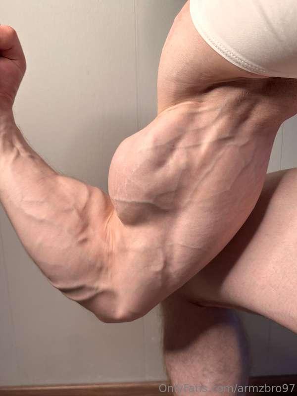 armzbro97 image #0