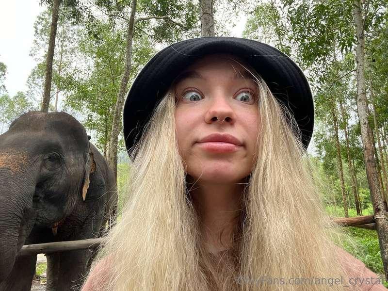 AWWWWW 😱 Have you ever seen a real elephant? 🐘 He's so big a..