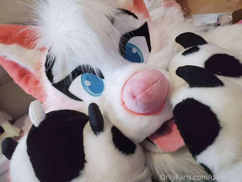 Paw Worship (with Cherri)