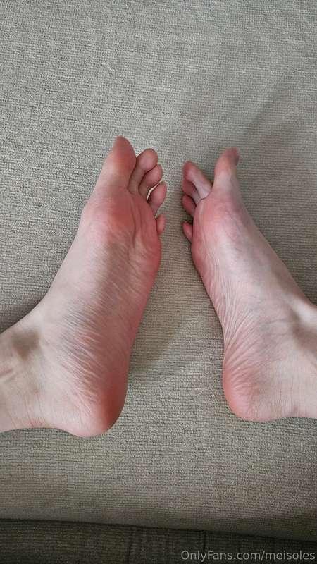 meisoles image #0