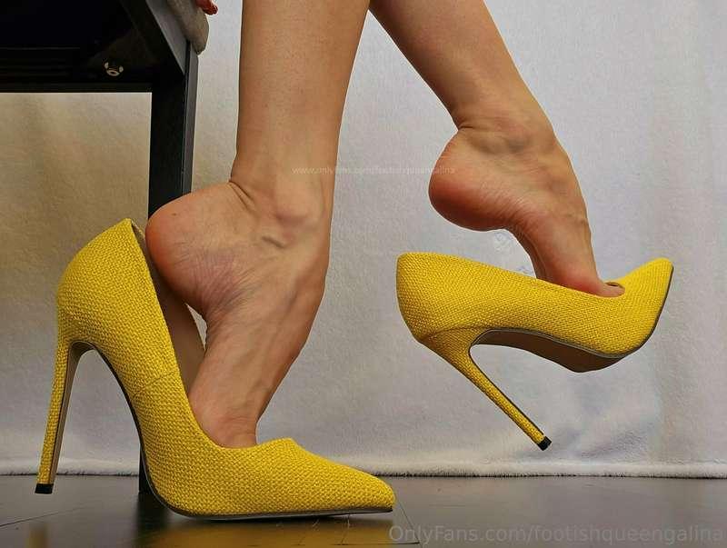 Desperately looking for a volunteer to worship these, are yo..