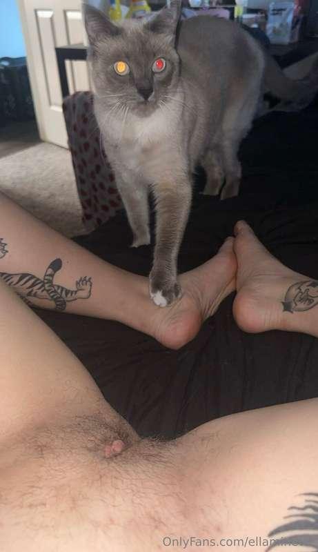 2 kitties 😆 good morning babe