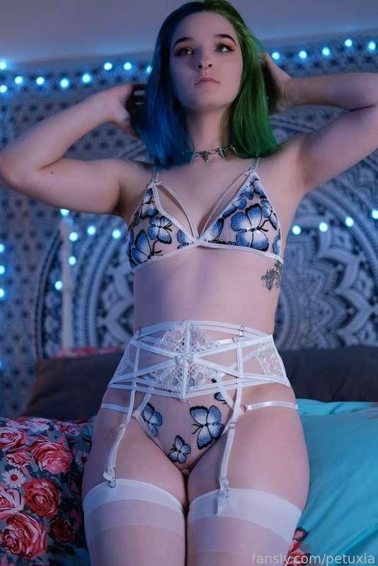 petuxia image #6