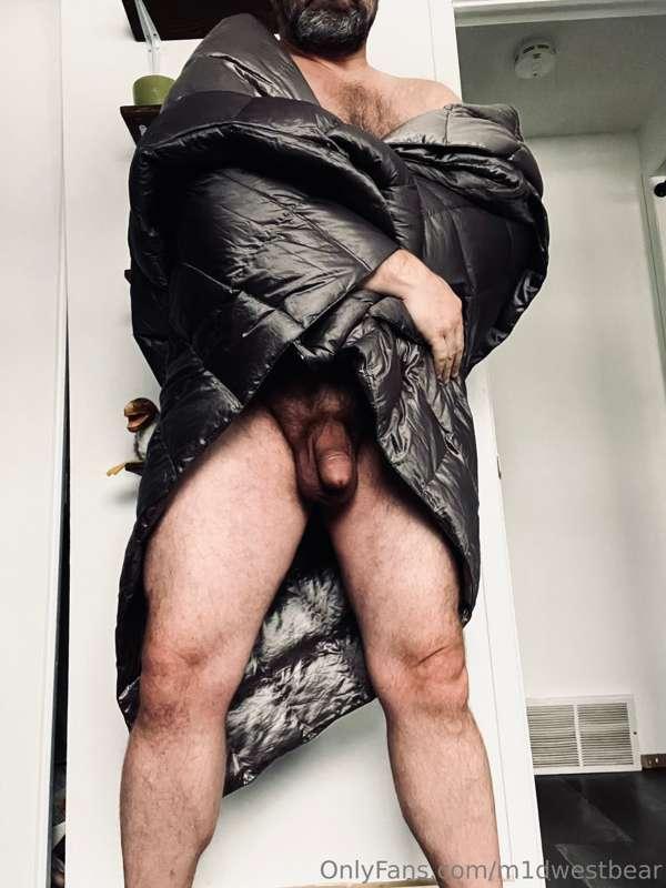 m1dwestbear image #4