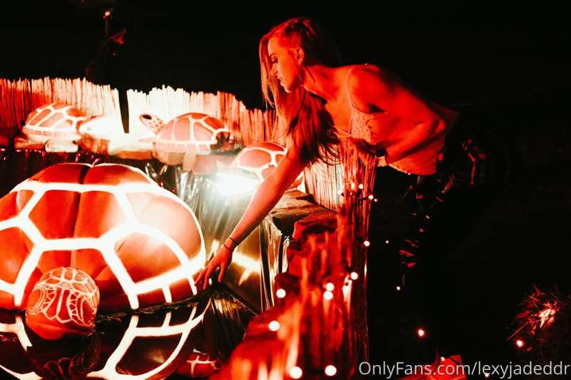 Turtles made of pumpkins! 🎃 I love Halloween!