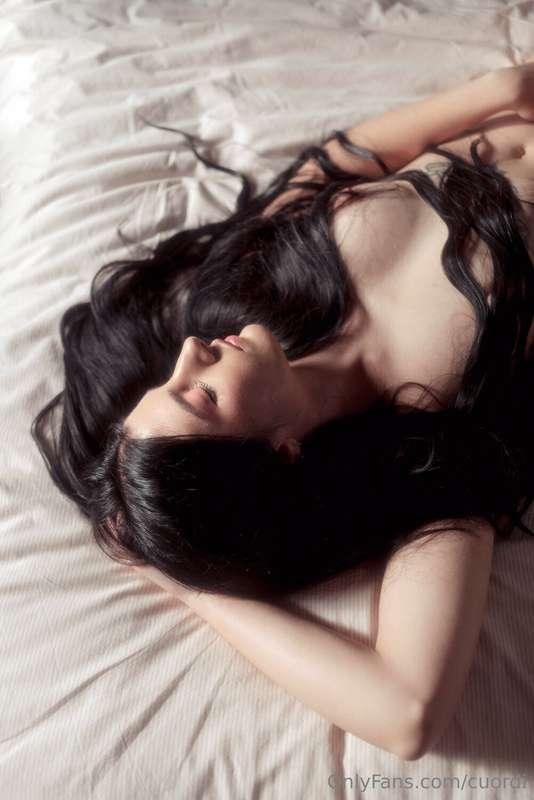 cuordi image #3