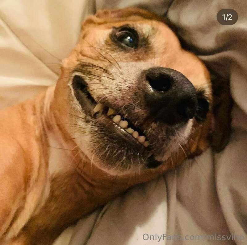 Good morning 😂