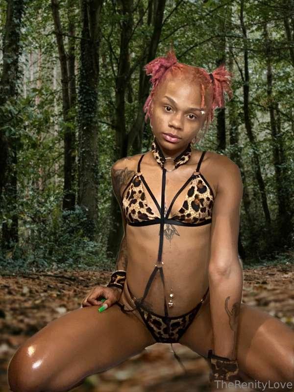 Day 4: You ever been to the jungle with a wild 🐆. Let me tak..