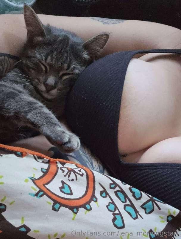 Kitties and titties