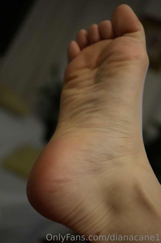 dianacane1 image #2