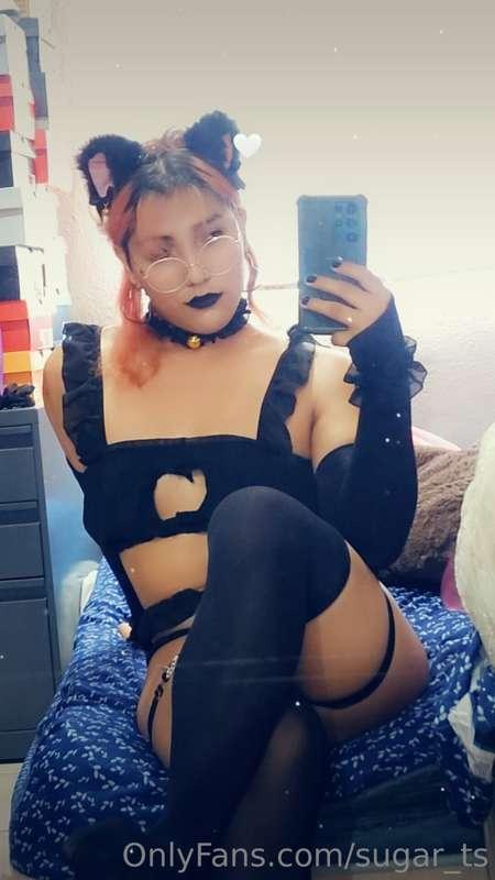 Black cat? 🖤