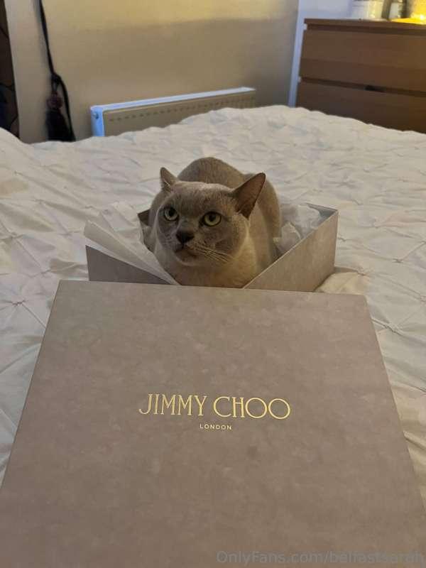 Wait… I didn’t order this 😂💕