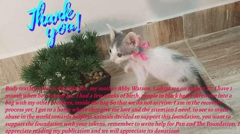 Help me help all your donations will be of great help! 

My ..
