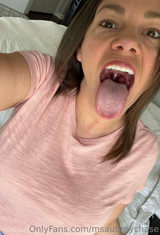 🌸🌸🌸