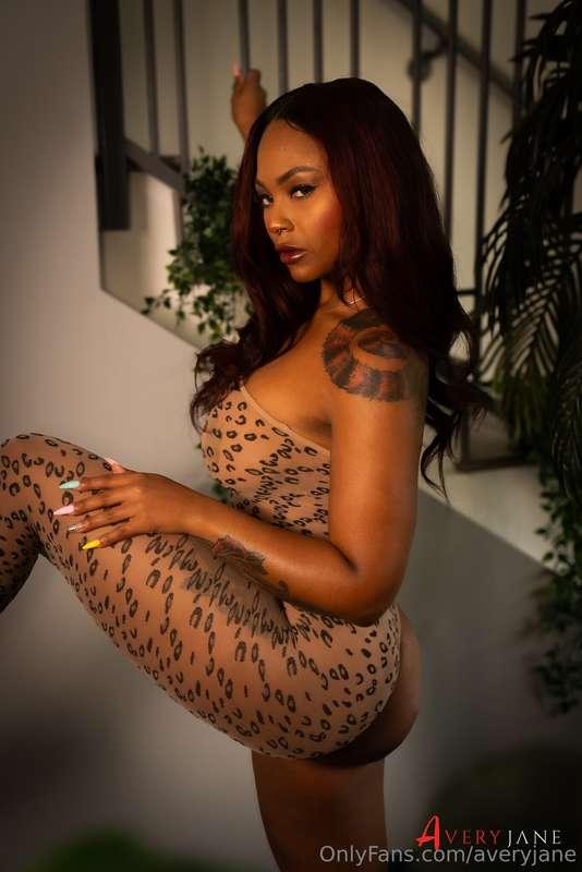 🐆🖤