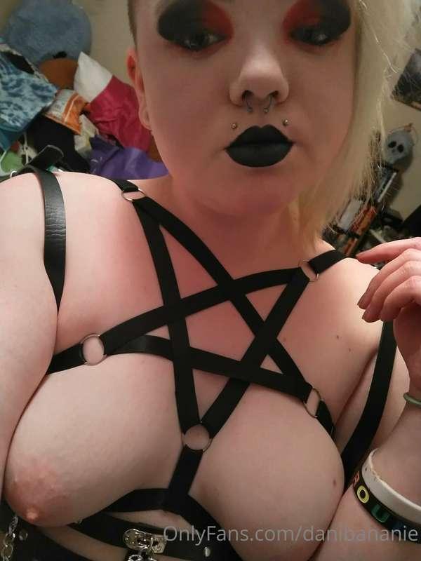 Got a super cute star harness I'm obsessed with it