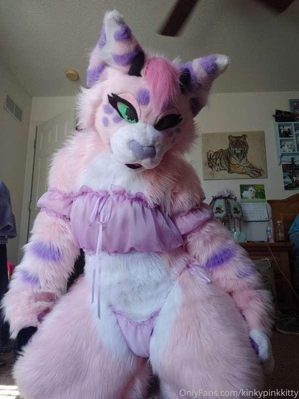 A fan asked for more of me wearing underwear over my fursuit..